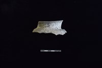 藏品(陶罐)的圖片